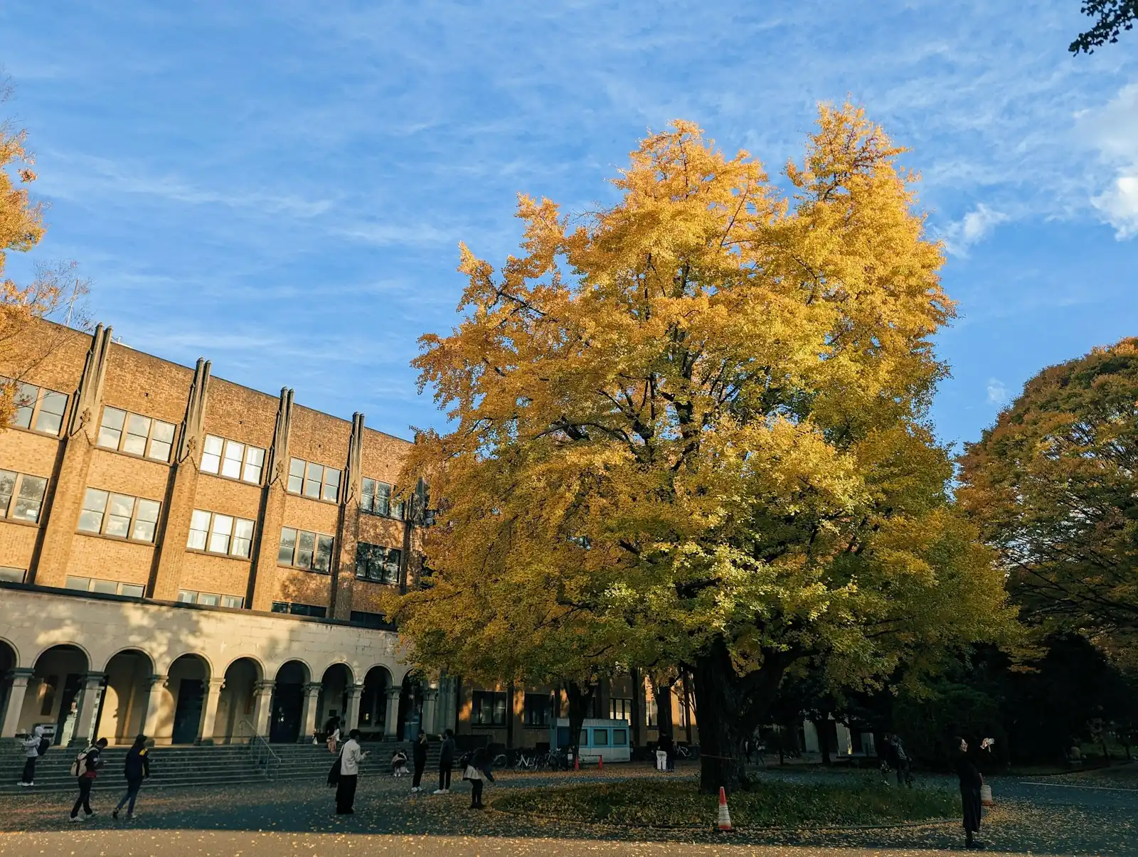 Cour centrale arborée d’un campus universitaire